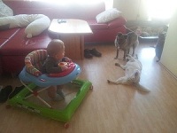 Coyo u Chicka3