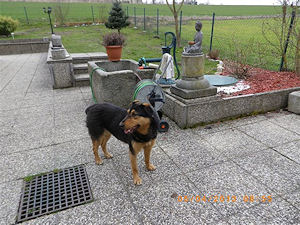 Dalila2