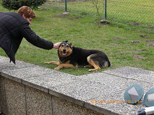 Dalila3