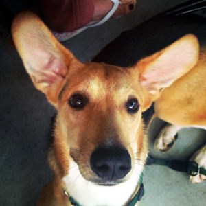 Diego--.3