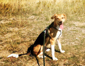 Diego--.5