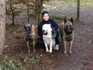 KONICA MINOLTA DIGITAL CAMERA