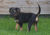 Gerda3