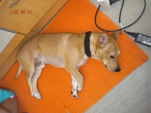Gery1