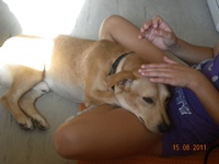 Gery2
