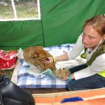 Nina, Boban und Amela