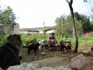 Ivan_02704