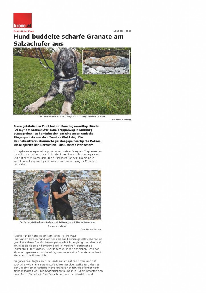 Joesy_krone.at_Seite_1