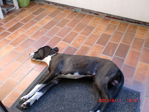 Junior2