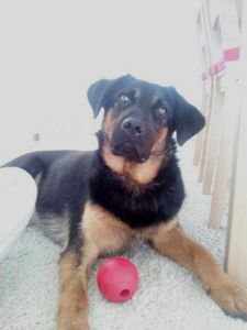 Kito-.3
