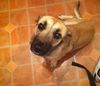 Lola3