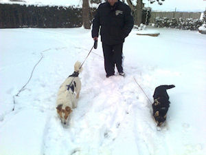 Lolly und Polly2