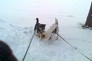 Lolly und Polly3