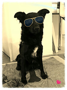 Lucy-.-1