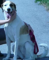 Lucy3