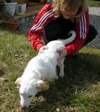 Luzy3