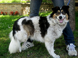 Maggie heute