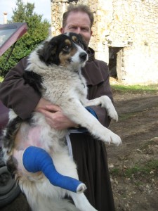 MAGGIE - operation 29 01 2013
