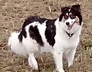 Maggie--.4
