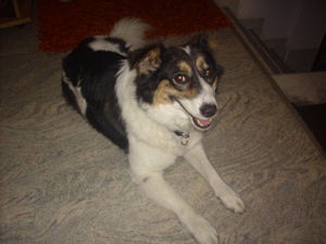 Maggy-.1