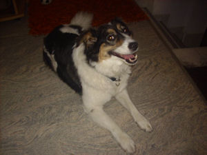 Maggy-.3