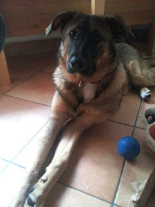Max-.4