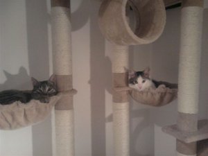 Merlin u Madame Mim1