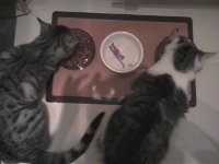 Merlin u Madame Mim2