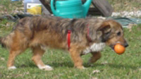 Micha2