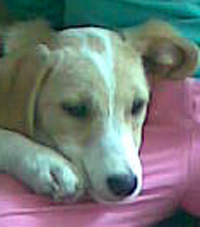 Missy2