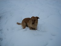 Molly2