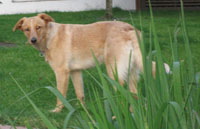 Molly3