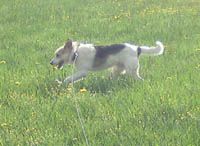 Moritz3