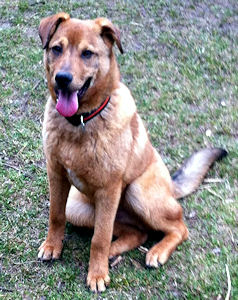 Murphy-2