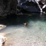 Murphy als Wasserratte