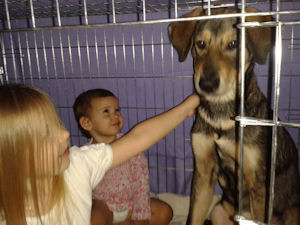 Nala-.2x