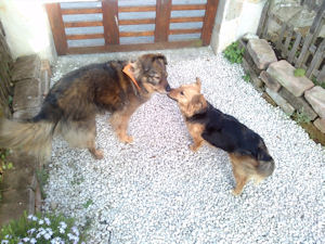Nelly---4