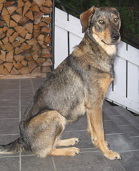 Nelly3