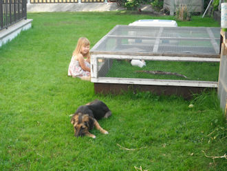 Nero1