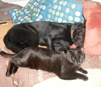 SONY DSC