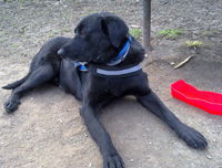 Odin2