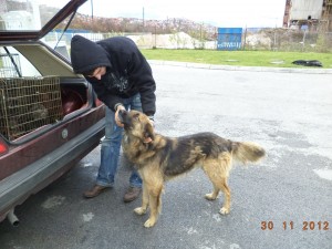 Sinisa mit Ommy
