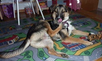Paco3