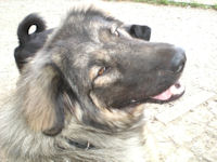 Paulinchen3