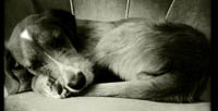 Prinzessin2