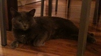 Romy2