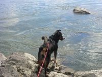Romy2