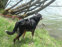 Romy3