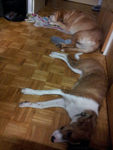 Ronny u Tina-.2