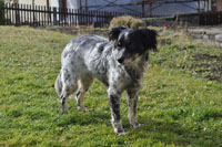 Roxy2